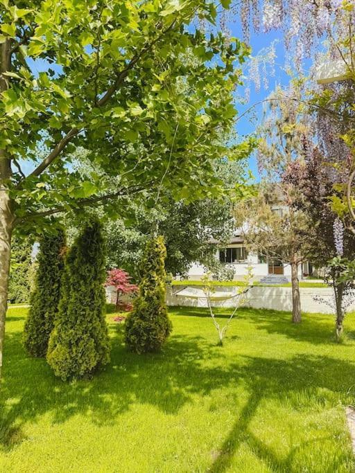 Therme - Corbeanca By The Lake Luxury Villa Buitenkant foto